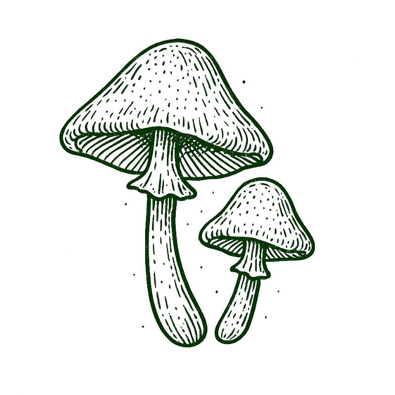 Shroomy HoneyPot