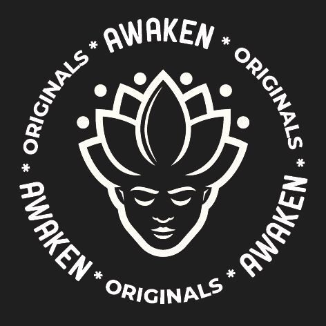 Awaken Travellers Cartridges