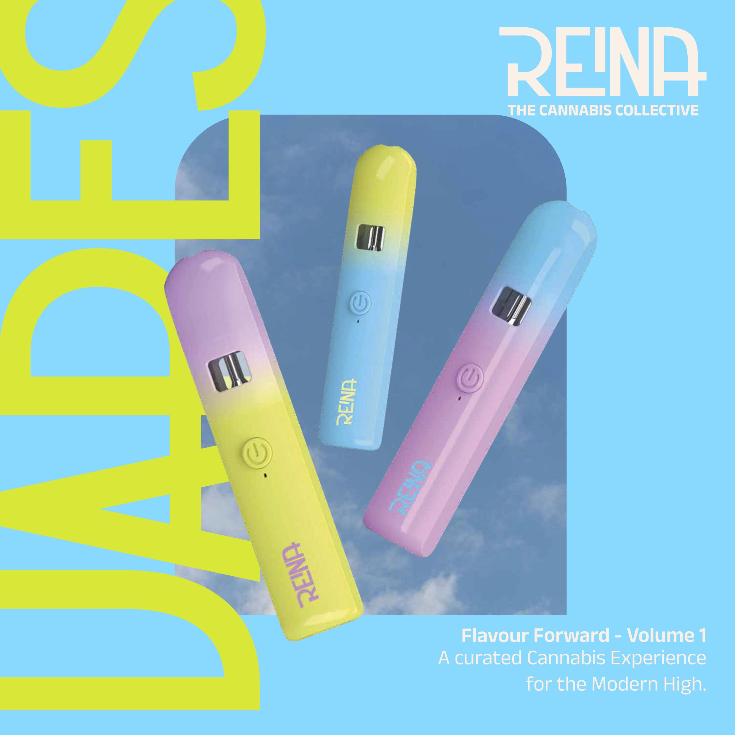 Reina Collective